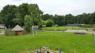 Kinderboerderij De Naturij in Drachten