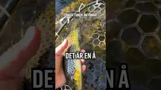 Vacker &ouml;ring i vild natur &ndash; det h&auml;r &auml;r varf&ouml;r jag fiskar 🎣 #teamgalant