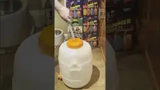 Summer Squeeze Lemon Shandy - Northern Brewer