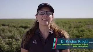 Pick a Future with Cotton Farming | Dr Kristen Knight | 0:27