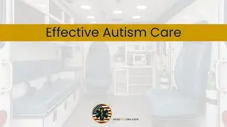 Effective Autism Care