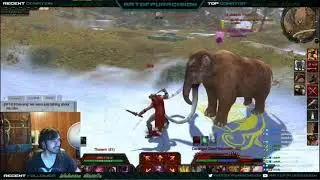 Age of Conan - Assassin guide