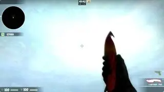 CsGOShowCase | Gut Knife Fade [FN] $97