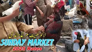 Lalukhet Murga Mandi | Sunday Market | 2025 Rates |