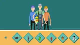 Best Pest Control [Lehi, Utah]