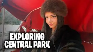 Taking a Horse Carriage Ride Around New York City