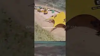 Los Roques Experience the freedom and exhilaration of kitesurfing in paradise.