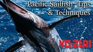 Pacific Sailfish: Tips & Techniques