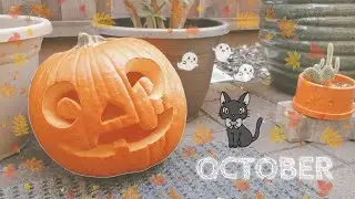 OCTOBER | DAY IN MY LIFE