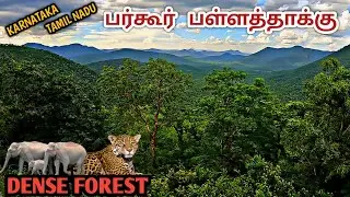 பர்கூர் பள்ளத்தாக்கு 🔥அடர் வனப்பகுதி 🔥🐅🐘Karnataka to Tamil Nadu dense forest road 🔥Reserve forest 