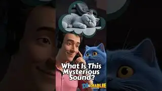 EP3: The Mystery of the Phantom Purr, A Cat Studio Adventure! #cat #animation #funny #frases