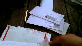 Seeds From MiWilderness - Wild Edible Food Forest Seeds!!!