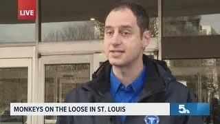 St. Louis monkey update: Confirmation multiple monkeys on the loose