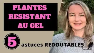 PLANTES R&Eacute;SISTANT AU GEL : 5 astuces REDOUTABLES