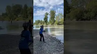 Crazy Pink Salmon Run Fishing Puyallup River 2023 #fish #washington #nature