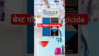 copper oxychloride 50 | blitox fungicide| #kheti #crop #drpunitshishodia