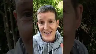 Shame-Based Identity & Survival Mode: HSP'S RECOVERING FROM C-PTSD AND NARCISSISTIC ABUSE