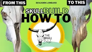 From Bone to Art: Custom Wildebeest Skull Build and Acrylic Pour