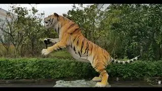 Roar! This animatronic tiger is unbelievably realistic!#animatronictiger #animatronicproduct