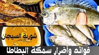 فوائد سمكة البطاطا(السيجان) الصافى وعمل شوربة السيجان والشوي بالزيت والليمون