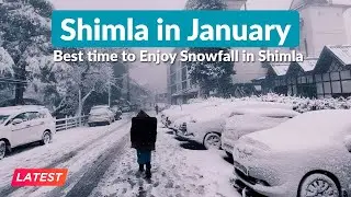 Shimla in January 2026 | Best time to Enjoy Snowfall in Shimla | Shimla in Snowfall Latest Vlog