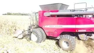 Massey 9695