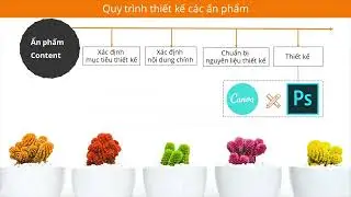 🎯📢 8. Content & Event Communication Collaterals