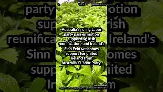 Australia's #laborparty passes motion supporting #Irish reunification, #sinnfein welcomes support
