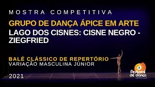 Grupo de Dan&ccedil;a &Aacute;pice em Arte - Ziegfried | 38&ordm; Festival de Dan&ccedil;a de Joinville
