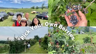 HARTLAND ORCHARD/ GREEN TRUCK FARM, MARKHAM, VIRGINIA | The Vloggers Family