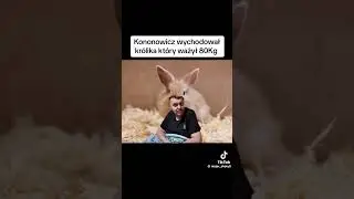 Kononowicz #kononowicz #szkolna17 #kr&oacute;lik #smile #śmieszne #naczasie