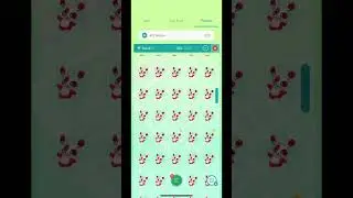 500 Spinda