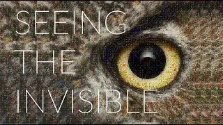 TEASER - BioCity Turku Symposium 2018 - SEEING THE INVISIBLE!