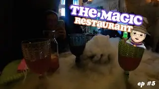 LE RESTAURANT HARRY POTTER 🧙🏻&zwj;♀️// budapest #5