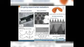 Denys  Makarov,  Helmholtz-Zentrum  Dresden-Rossendorf  e.V.,  Germany  -TMAG2020- AE-03