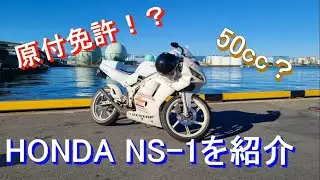 ナニコレ？CB50？？？原付免許乗れる！？HONDAが生んだ名車NS-1を紹介！