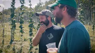 Farm to Pint: Harvesting Hops on the 42nd Parallel