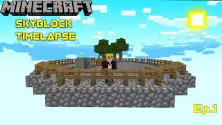 Minecraft SkyBlock Timelapse | Ep.1 | AlvinMC