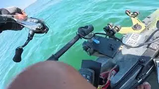 SCYAK Kayak Bass Tournament On Lake Hartwell 8/30/25 