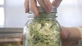 From Leftovers to the Pantry | Freeze Drying at Home