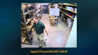 GeoVision GV-EFD1100-0F 1.3MP IP Camera Video Demo