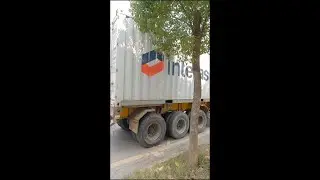 TRITON container