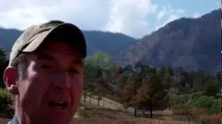 Harvesting Wildfire Logs From Mountain Shadows Colorado