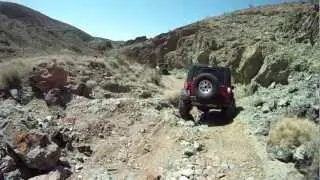 Wrangler Forum Calico, trail 