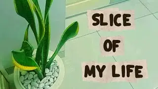Slice Of My Life|| Peaceful, Slow Living, etc