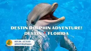 Destin Dolphin Adventure 