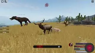 Realistic Elk Hunt By Wolf Pack - Roblox