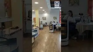 DigPanda Robotics, Service- und Reinigungsroboter