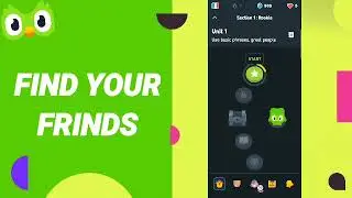 How To Find Your Friends On Duolingo App