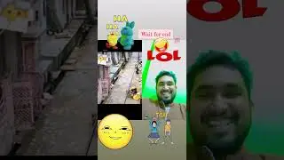 Monkey Funny Reaction#shorts #funnyshorts#viralshorts